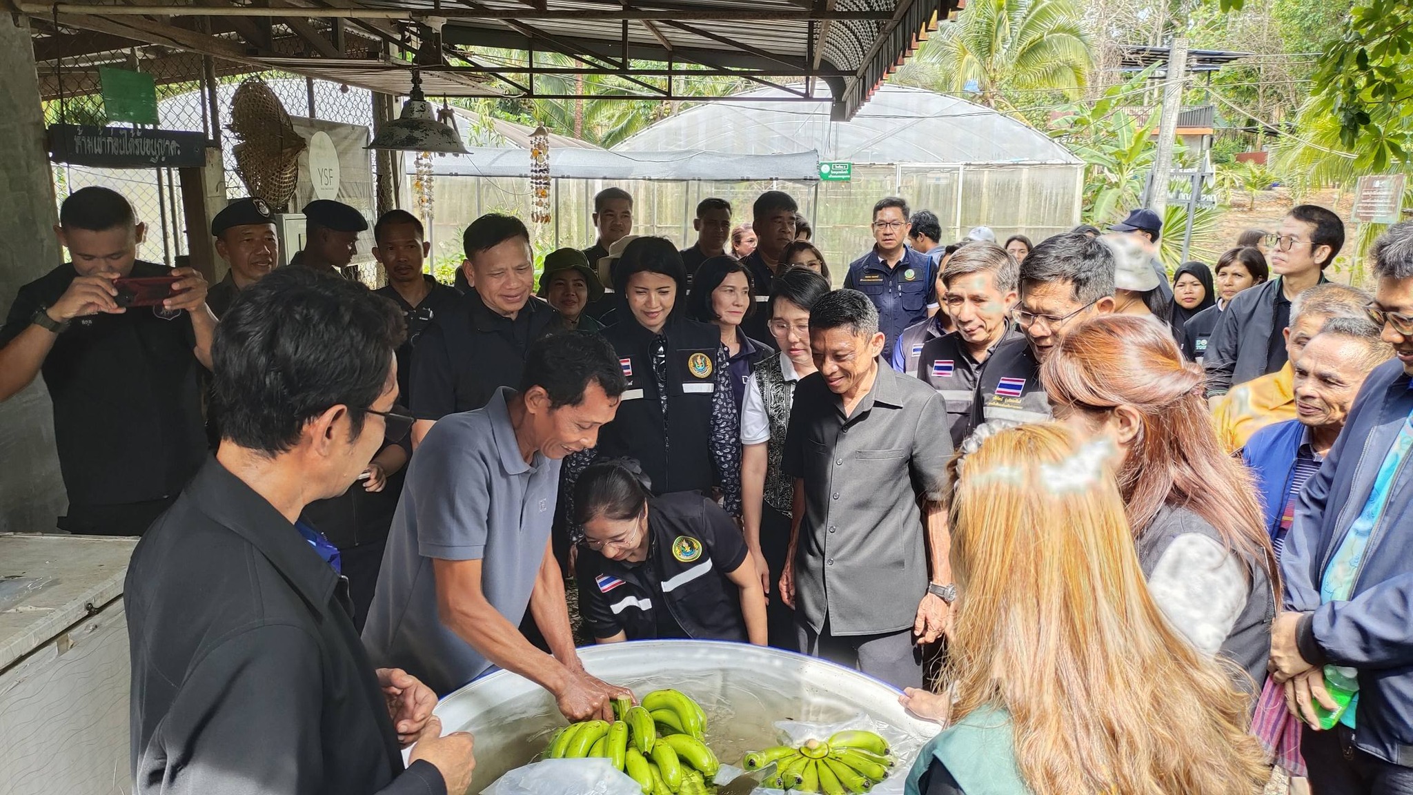 title - ส.ป.ก. ร่วมให้การต้อนรับ นางสาวปิยะรัฐชย์ ติยะไพรัช รมช.กษ. ในโอกาสลงพื้นที่ตรวจราชการ จ.สตูล